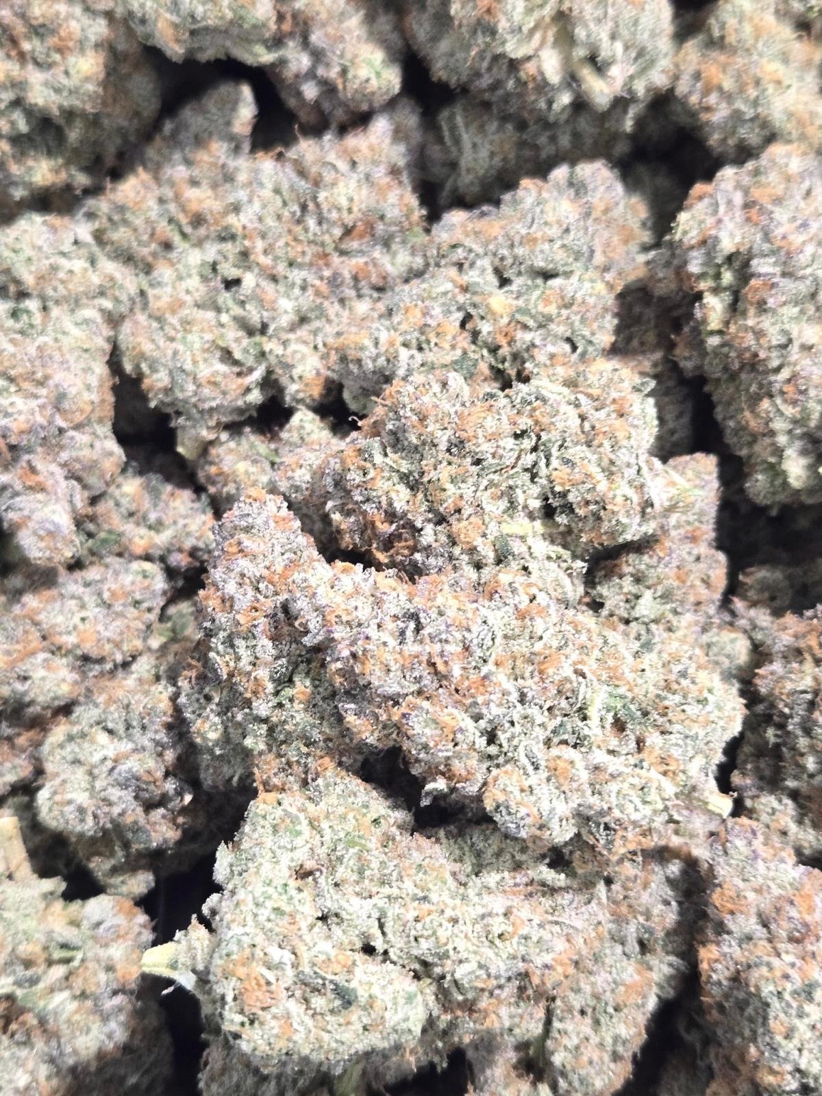 Bud Image 3